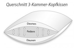 Kissenquerschnitt von Kammern
