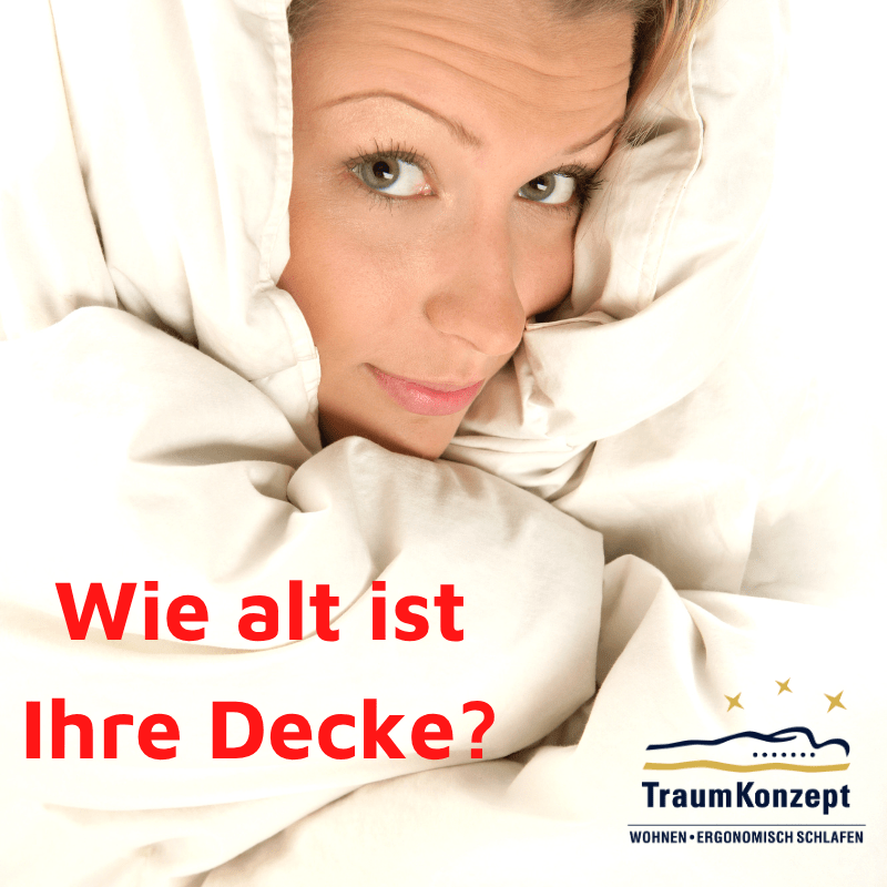 Leschis Der Hund Bobby